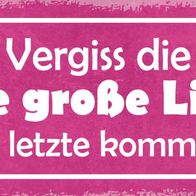 Blechschild Spruch 27x10 cm vergiss die erste große Liebe Deko Schild