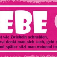 Blechschild Spruch 27x10cm Liebe ist wie Zwiebeln schneiden Deko Schild