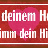 Blechschild Spruch 27x10 cm folge deinem Herzen nimm Hirn Deko Schild