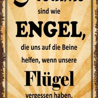 Blechschild Spruch 20x30 cm Freunde sind wie Engel die uns Deko Schild