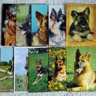 10 Postkarten Hund: Deutscher Schäferhund - 2