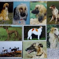 9 Postkarten Hund: Windhund - 3x Afghane + 3x Barsoi + 3x Greyhound