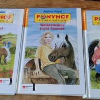 3 x Ponyhof Kleines Hufeisen / Wo ist Florentine?-Wolkenmähne sucht Freunde +