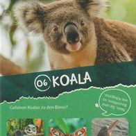 REWE Sammelkarte - Wilde Helden - Karte 06 - Koala - NEU