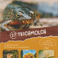 REWE Sammelkarte - Wilde Helden - Karte 27 - Teichmolch - NEU