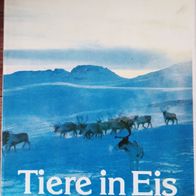 Tiere in Eis und Schnee" Bildband & Doku ! / alte, gebundene Ausgabe von 1983 !