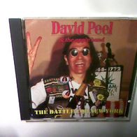 David Peel - & The Apple Band - The Battle for New York