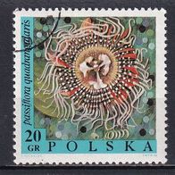 Polen, 1968, Mi. 1837, Blüten, Passiflora, 1 Briefm., gest.