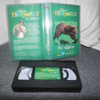 VHS Video Walt Disney Wunderbare Tierwelt - Die Bären