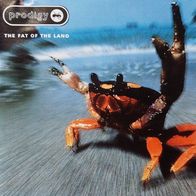Prodigy - The fat of the land
