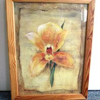 wunderschönes Bild mit Orchidee Druck gerahmt & verglast * 35 x 45 cm