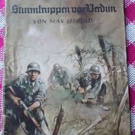 Sturmtruppen vor Verdun, von Max Lippold