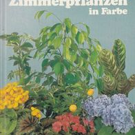 G. Kromdijk 200 Zimmerpflanzen in Farbe Gebundene Ausgabe