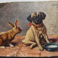 1 uralte Postkarte: Tierpostkarte Hund - Mops & Kaninchen