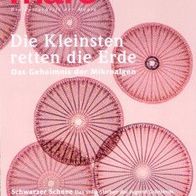 mare - No. 155 - Die Zeitschrift der Meere. Ausgabe Dezember 2022 / Januar 2023.