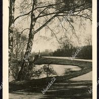 Ak Bremen: Bürgerpark Melchers Brücke 1927 / Stempel Hannover