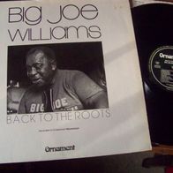 Big Joe Williams - Back to the roots - ´80 Ornament Foc Lp - Topzustand !