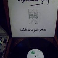 Maximum Joy - UK Import 12" White and green place - Y records - mint !!