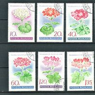 Rumänien 1968 " Pelargonien Mi 2686 - 2693 kompletter Satz ° Gestempelt RO Blumen