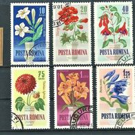 Rumänien 1964 " Gartenblumen Mi 2268 - 2275 kompletter Satz ° Gestempelt RO Blumen