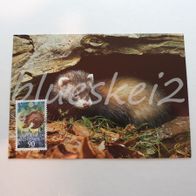 MK WWF Liechtenstein Der Itis Briefmarke