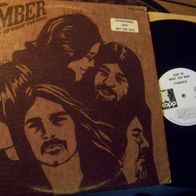 Timber - Part of what you hear - ´70 US Kapp Promo Lp - mint !