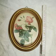 Ovales Bild Seide Rose Goldrahmen