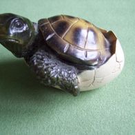 Mini Baby Schildkröte aus Ei schlüpfend Kunstharz 6x5,5x4cm Figur Dekoration
