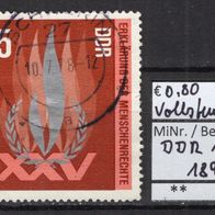 DDR 1973 25. Jahrestag der Erklärung der Menschenrechte MiNr. 1898 Vollstempel