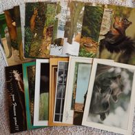 23 Postkarten Tier: Wildtiere + Zootiere