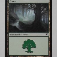 Magic - The Gathering, Forrest, 263/264 (T-)