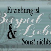 Blechschild Spruch 30x20cm Erziehung ist Beispiel und Liebe Deko Schild