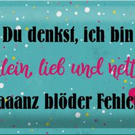 Blechschild Spruch 30x20 cm du denkst ich bin klein lieb Deko Schild