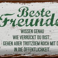 Blechschild Spruch Beste Freunde verrückt wissen genau 30x20cm Schild