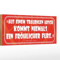 Holzschild Spruch 27x10 cm Aus einem traurigen Arsch Deko Schild wooden