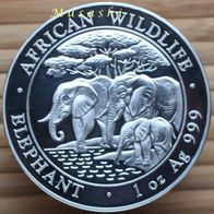1 Oz Somalia Elefant Silber 2013 African Wildlife (gekapselt) st