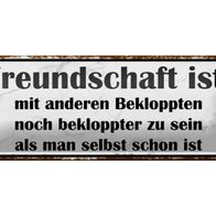 Blechschild Spruch 27x10cm Freundschaft ist noch bekloppter Deko Schild
