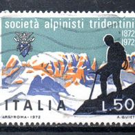 Italien Nr. 1371 gestempelt (2424)