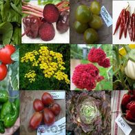 Gemüsegarten Sortiment 12 Sorten 350+ Samen Saatgut AKTION! V