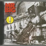 Mr. Big (Billy Sheehan, Paul Gilbert etc.) " Lean Into It " CD (1991)