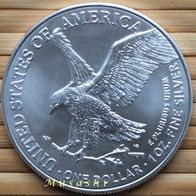 1 Oz Unze American Eagle 2021 Typ 2 II Silber (gekapselt) st