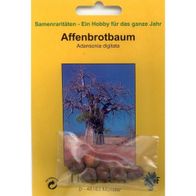Bonsai 6 Samen Adansonia digitata, Affenbrotbaum, Baobab, 90038