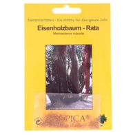 Bonsai 200 Samen Eisenholzbaum, Rata, Metrosideros robusta 90103
