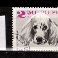 H951 - Polen Mi. Nr 1902Rassehunde: Englischer Setter o