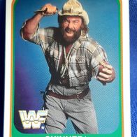Wrestling Trading Card Sammelkarte WWF Skinner 145/150 Merlin 1991