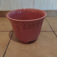 Blumentopf rose-----------8/23---------