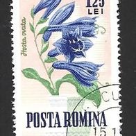 Rumänien Sondermarke " Gartenblumen " Michelnr. 2274 o