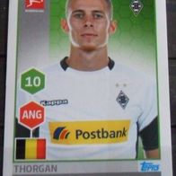Bild 213 " Thorgan Hazard / Borussia Mönchengladbach "