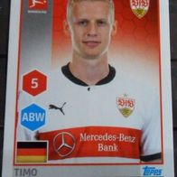 Bild 245 " Timo Baumgartel / VfB Stuttgart "