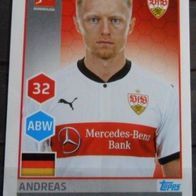 Bild 246 " Andreas Beck / VfB Stuttgart "